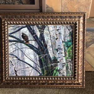 Brian Durfee Original Acrylic "The Watchers" Red-tailed Hawks
